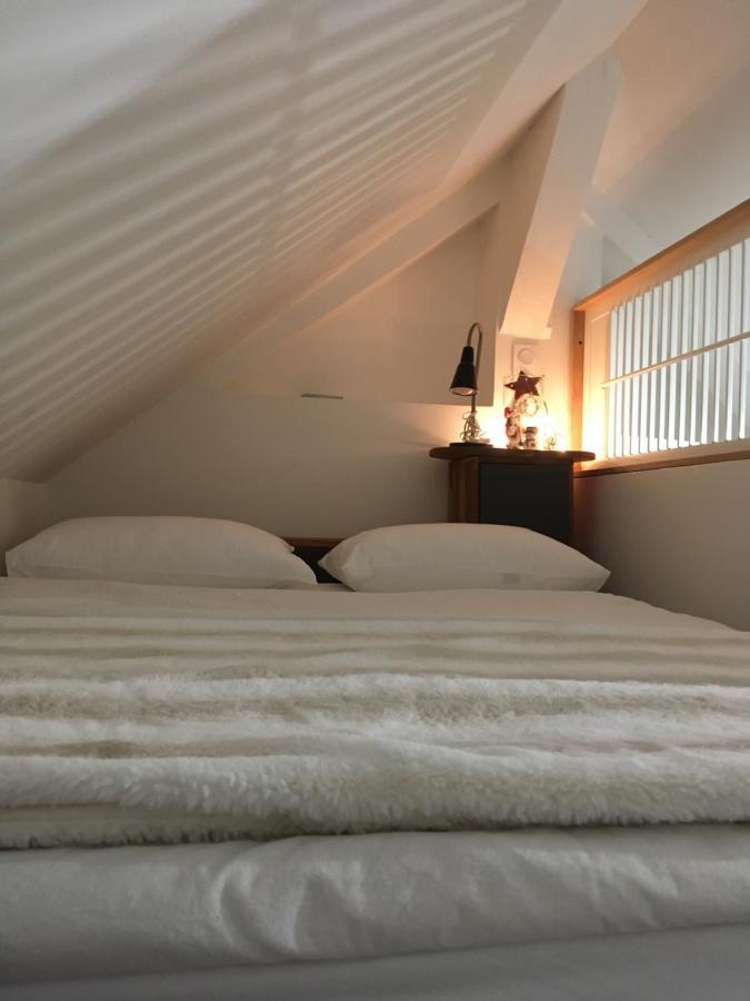 Logement Climatise Erdre Riviere La Chapelle-Sur-Erdre Ngoại thất bức ảnh