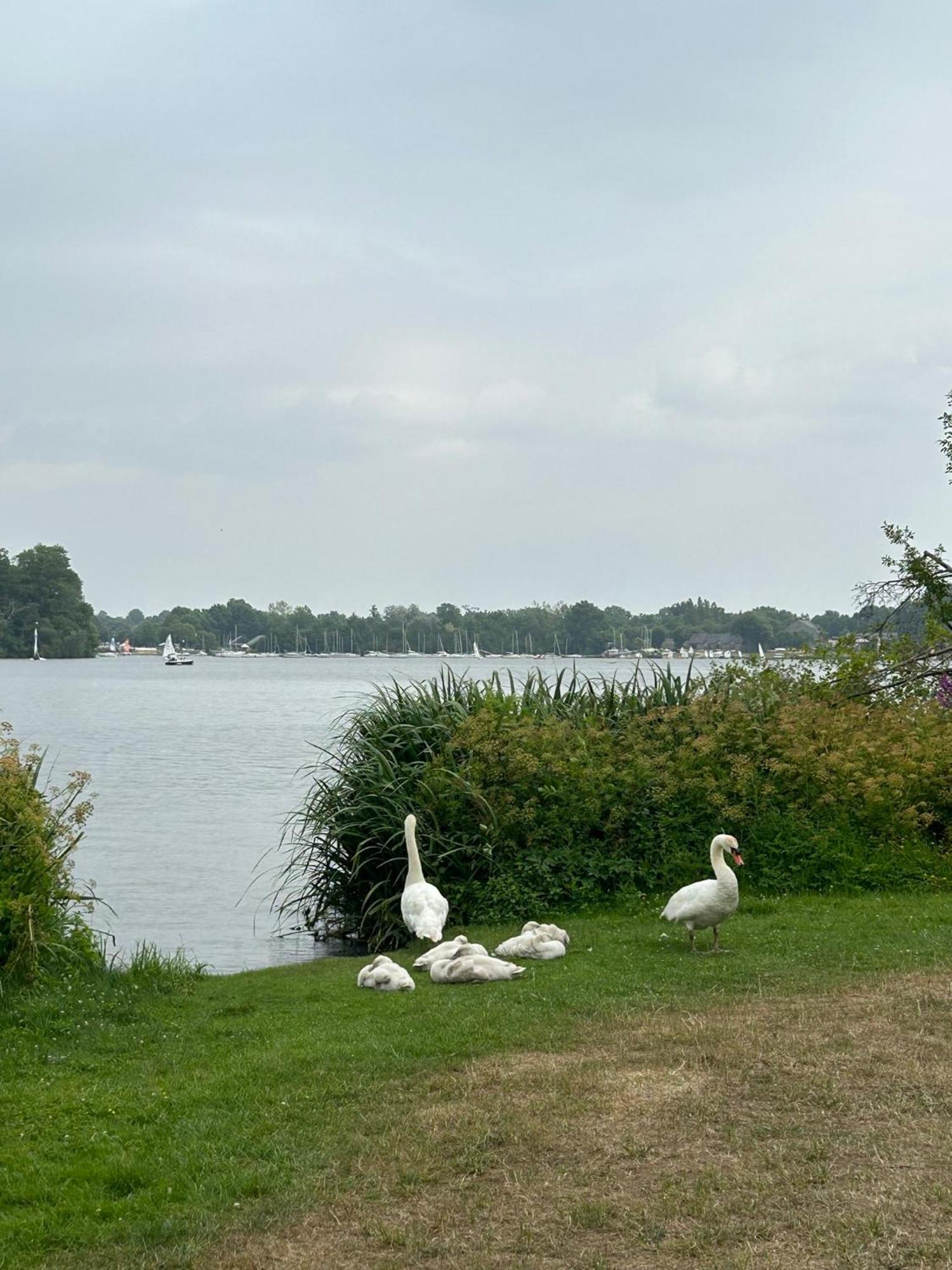 Logement Climatise Erdre Riviere La Chapelle-Sur-Erdre Ngoại thất bức ảnh